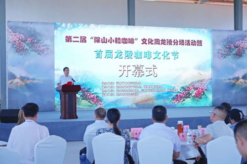 第二屆保山小粒咖啡文化周龍陵分場活動暨首屆龍陵咖啡文化節隆重開幕，文化藝術交流共促咖啡產業發展